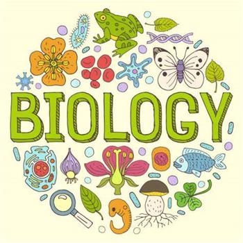 考前復習中,ib生物怎么提高?