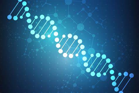 IB生物考點內容總結,如何考核?